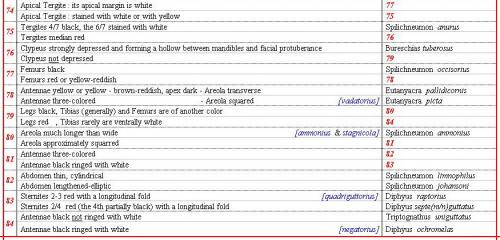 Réf. 349 804 : Ichneumonini divers